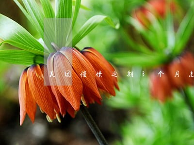 美团催债逾期3个月怎么办 美团催债逾期3个月怎么办