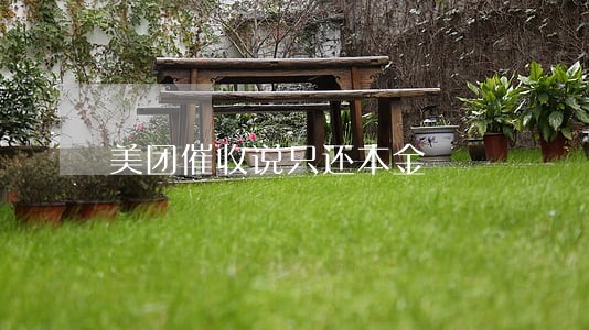 美团催收说只还本金 美团催收说只还本金