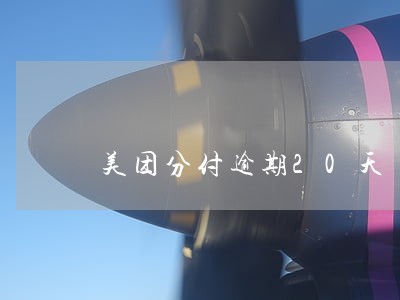 美团分付逾期20天