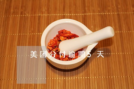 美团分付逾期5天 美团分付逾期5天