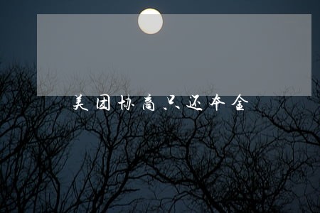 美团协商只还本金 美团协商只还本金