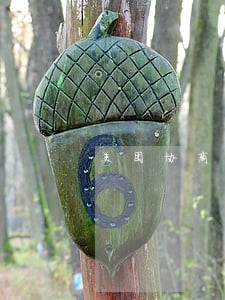 美团协商只还本金一次结清 美团协商只还本金一次结清