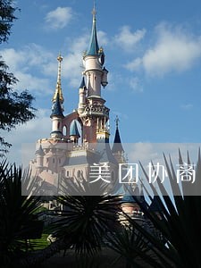美团协商还款只还本金