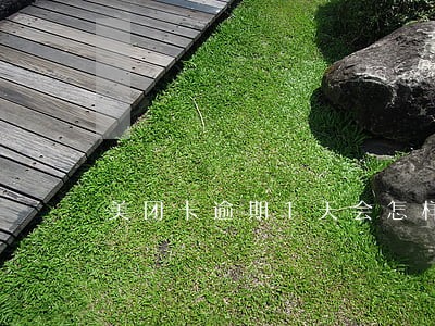 美团卡逾期1天会怎样 美团卡逾期1天会怎样