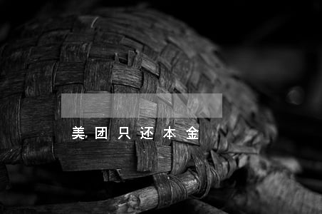 美团只还本金