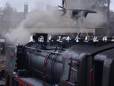 美团只还本金怎么样还款 美团只还本金怎么样还款