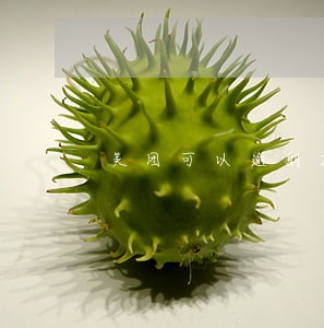美团可以逾期2000 美团可以逾期2000