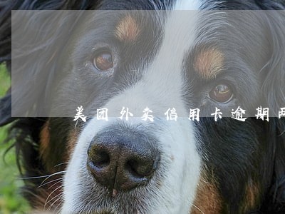 美团外卖信用卡逾期两天 美团外卖信用卡逾期两天