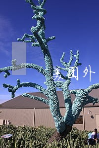 美团外卖逾期3天