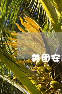 美团安逸花逾期1天上征信不 美团安逸花逾期1天上征信不