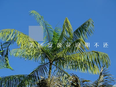 美团安逸花逾期不还 美团安逸花逾期不还