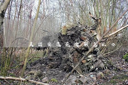 美团安逸花逾期怎么办 美团安逸花逾期怎么办