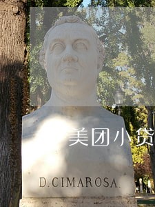 美团小贷违法放贷 美团小贷违法放贷
