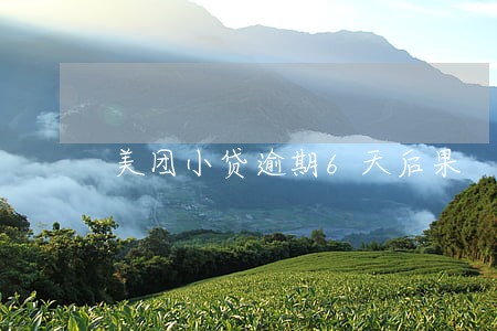 美团小贷逾期6天后果