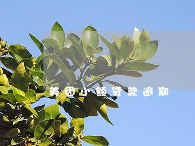 美团小额贷款逾期 美团小额贷款逾期