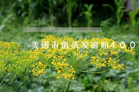 美团市值蒸发逾期400亿 美团市值蒸发逾期400亿