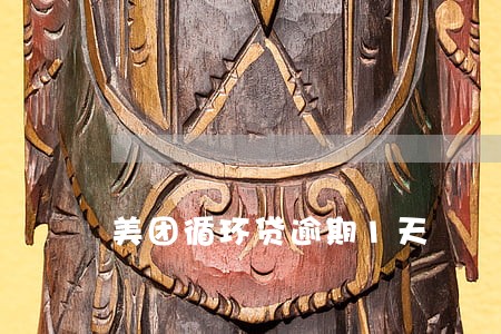美团循环贷逾期1天