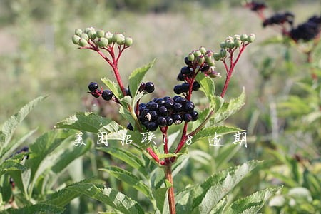 美团招联58逾期