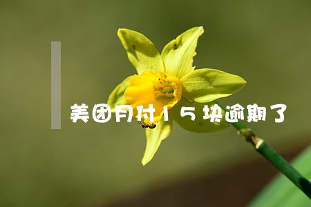 美团月付15块逾期了 美团月付15块逾期了