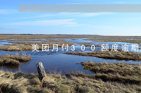 美团月付300额度逾期 美团月付300额度逾期