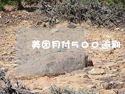 美团月付500逾期 美团月付500逾期