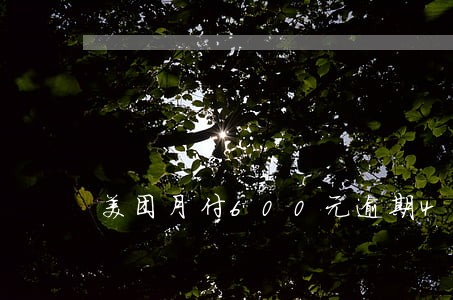 美团月付600元逾期4个月了 美团月付600元逾期4个月了