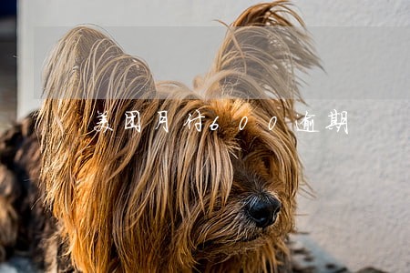 美团月付600逾期