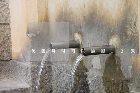 美团月付可以逾期12天吗