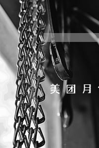 美团月付逾期10天不能用 美团月付逾期10天不能用