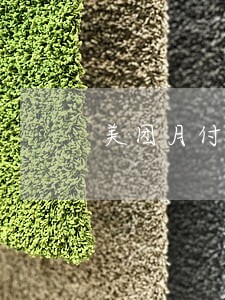 美团月付逾期10天不能用了