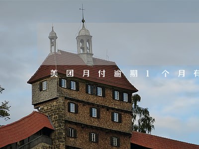 美团月付逾期1个月有什么事