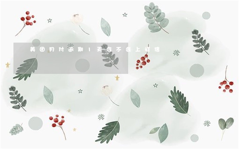 美团月付逾期1天会不会上征信