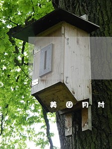 美团月付逾期20天会