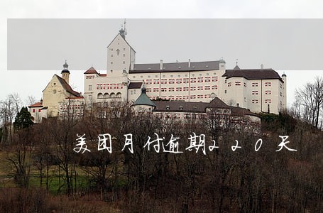 美团月付逾期220天 美团月付逾期220天