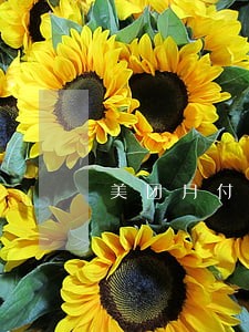 美团月付逾期2个月没事吧