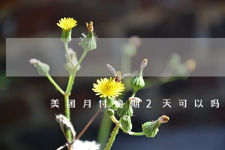 美团月付逾期2天可以吗 美团月付逾期2天可以吗