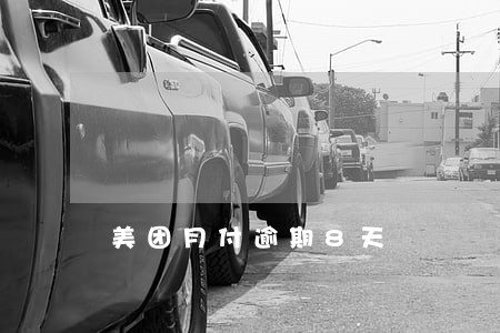 美团月付逾期8天 美团月付逾期8天