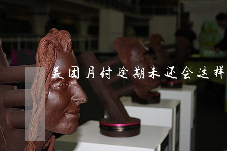 美团月付逾期未还会这样