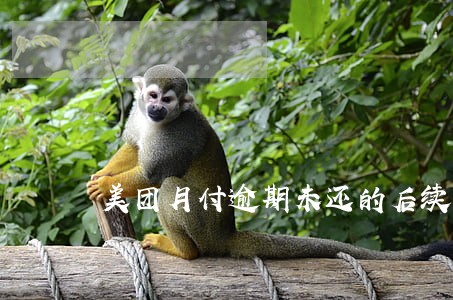 美团月付逾期未还的后续是什么 美团月付逾期未还的后续是什么