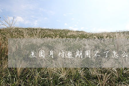 美团月付逾期用不了怎么办 美团月付逾期用不了怎么办