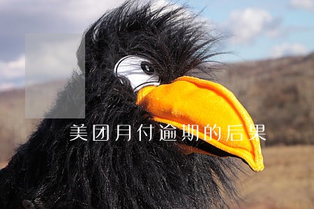 美团月付逾期的后果