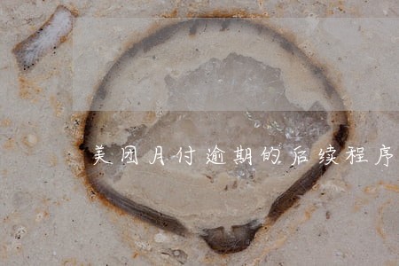 美团月付逾期的后续程序是什么 美团月付逾期的后续程序是什么