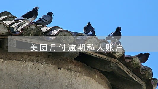美团月付逾期私人账户 美团月付逾期私人账户