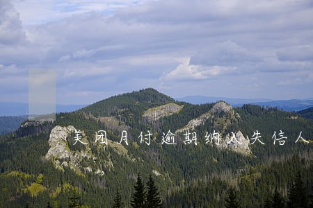 美团月付逾期纳入失信人员名单 美团月付逾期纳入失信人员名单