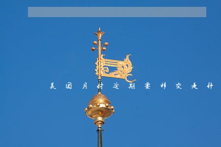 美团月付逾期要移交是什么意思