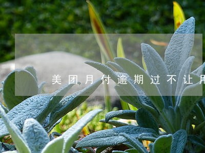 美团月付逾期过不让用了 美团月付逾期过不让用了