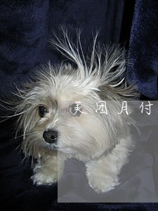 美团月付逾期还能继续使用吗 美团月付逾期还能继续使用吗