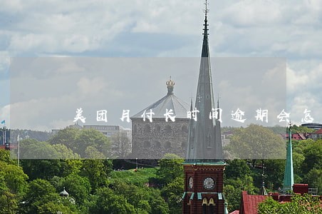 美团月付长时间逾期会怎么样 美团月付长时间逾期会怎么样