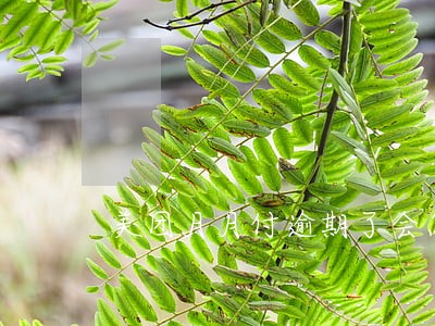 美团月月付逾期了会怎样 美团月月付逾期了会怎样