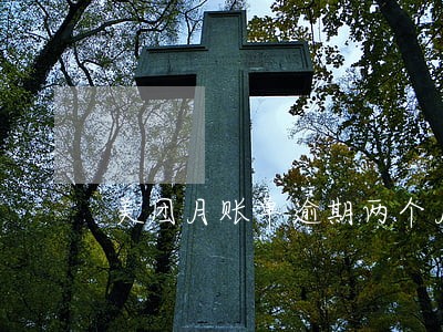 美团月账单逾期两个月会怎么样 美团月账单逾期两个月会怎么样
